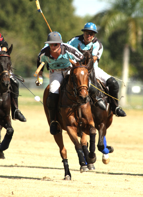 audiberlinpoloteamnorthamericanpolocuppolomagazine 1