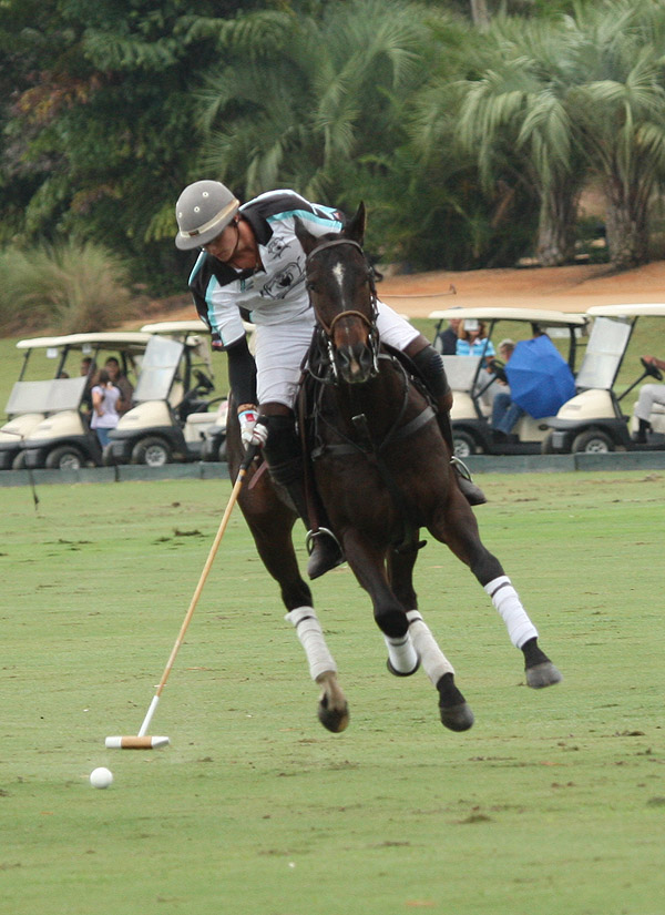 palmrestuarantinvitationalpolomagazinepolotournamentpachecopolophotos 1