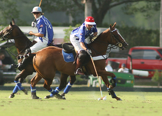 polo mag usopen valiente erg