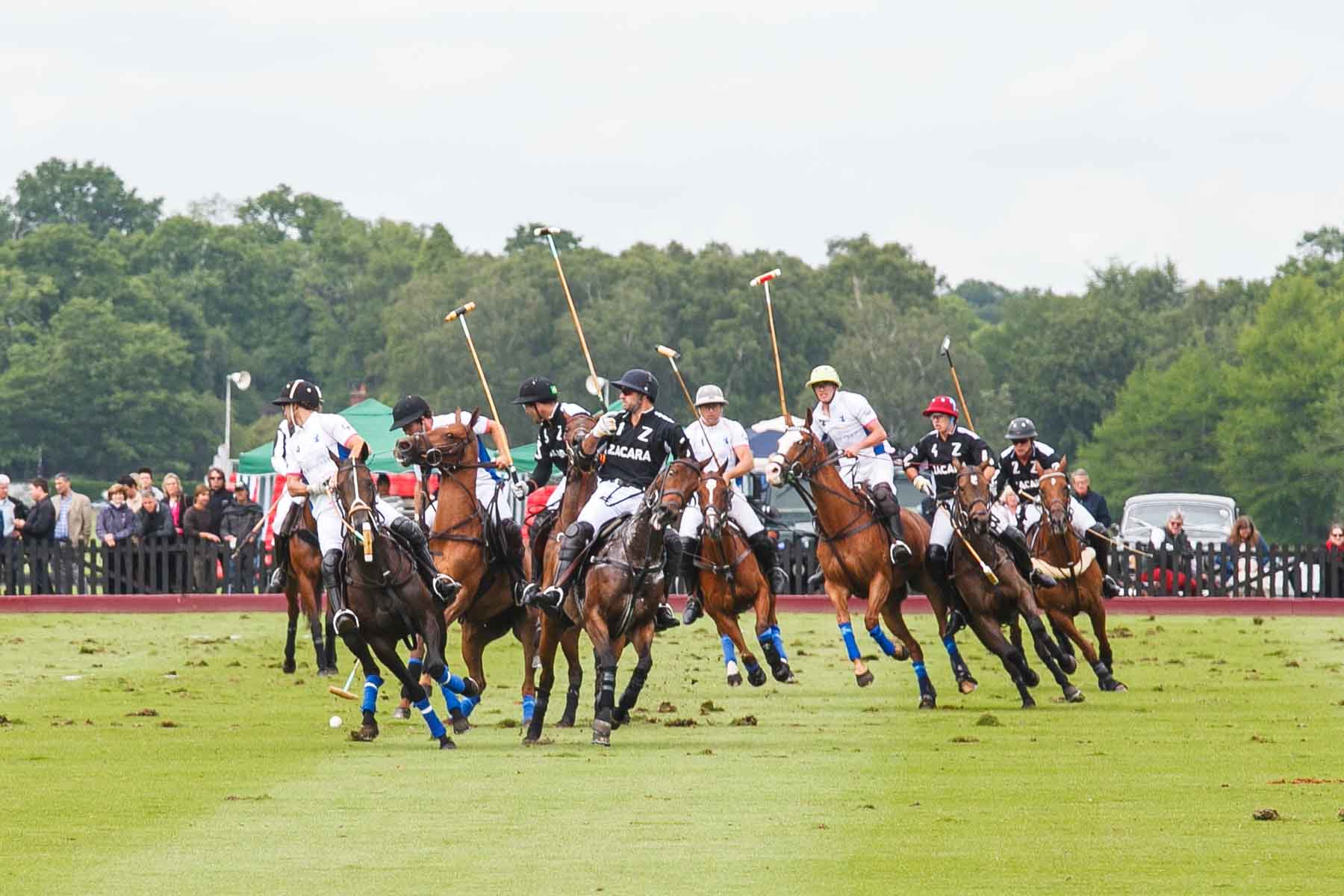 28. Polo Match