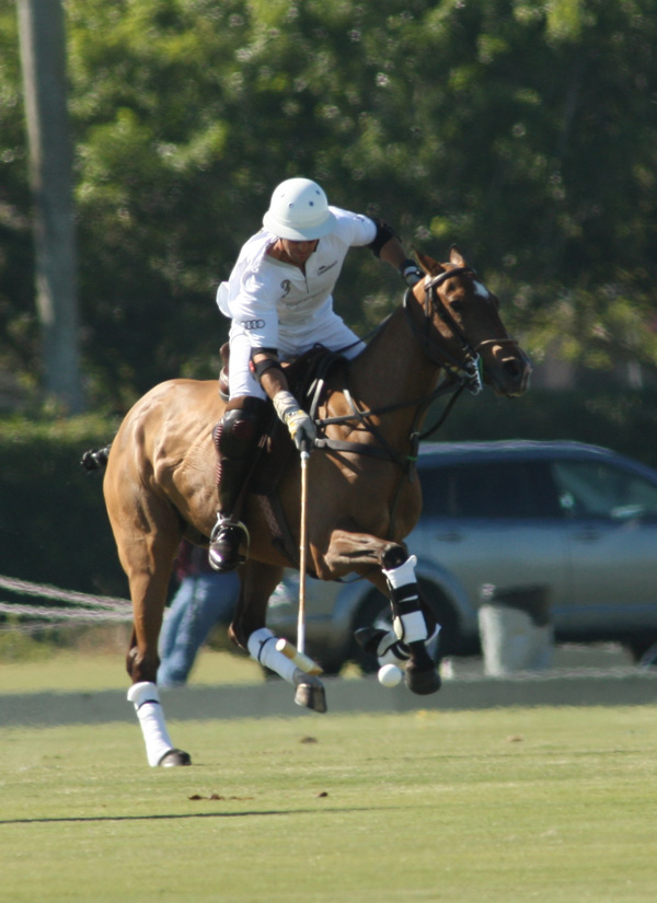 PolomagazineBobBarry CupFlight Options ElCaburepoloteamPhotoPacheco 1