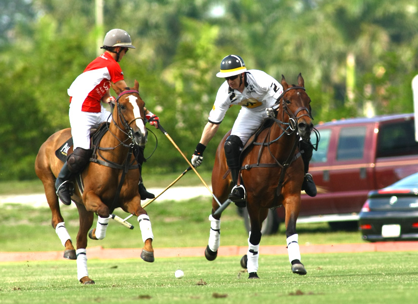 yp com polo 2