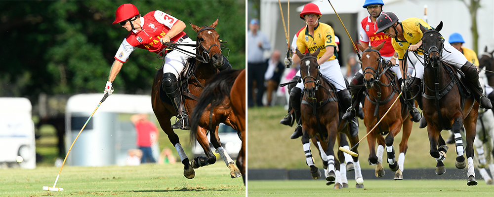 Polo